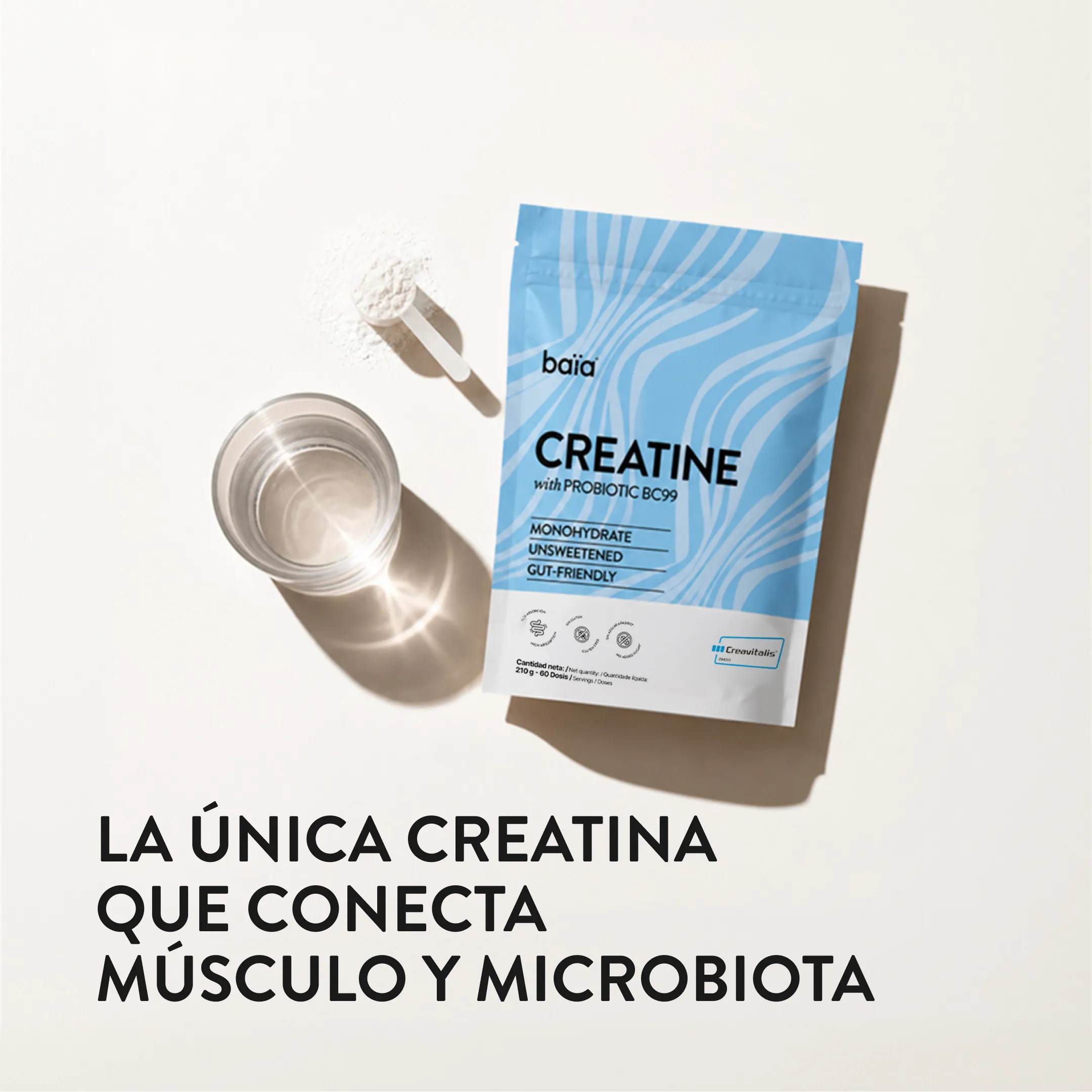 Imagen del producto 12